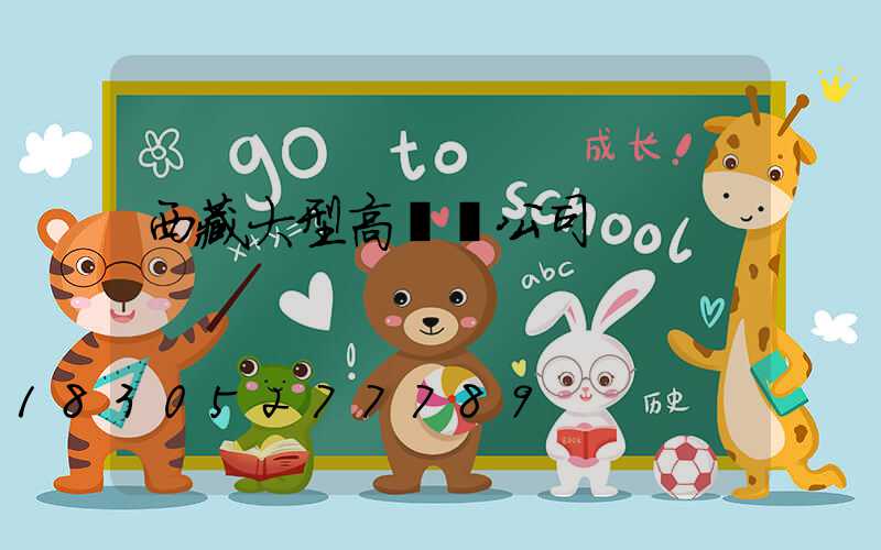 西藏大型高桿燈公司