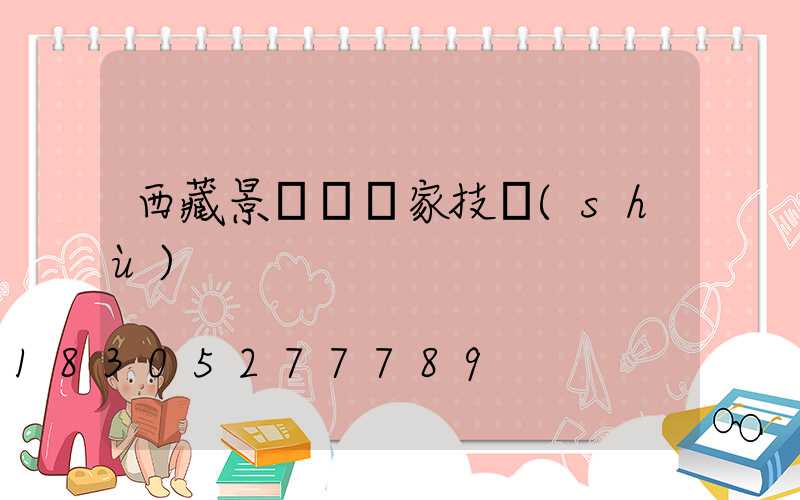 西藏景觀燈廠家技術(shù)