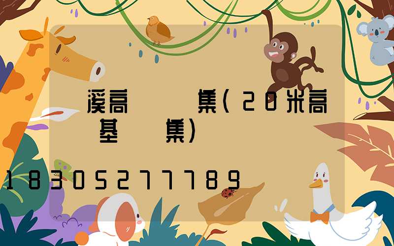 貴溪高桿燈圖集(20米高桿燈基礎圖集)