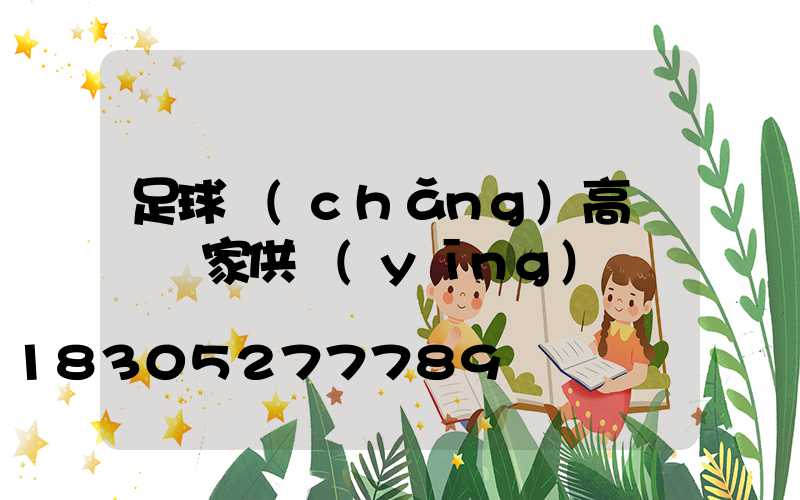 足球場(chǎng)高桿燈廠家供應(yīng)電話