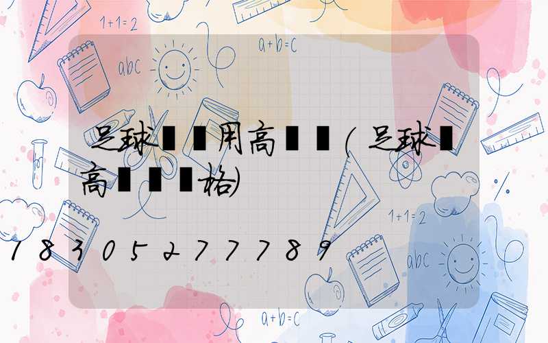 足球場專用高桿燈(足球場高桿燈價格)