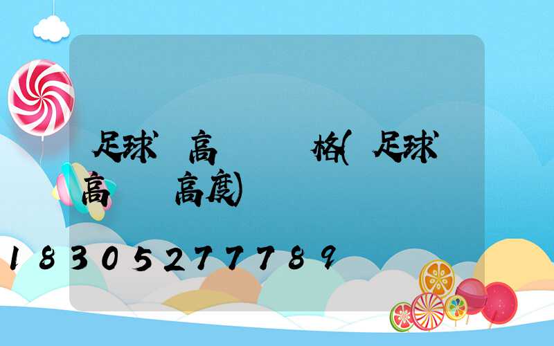 足球場高桿燈價格(足球場高桿燈高度)