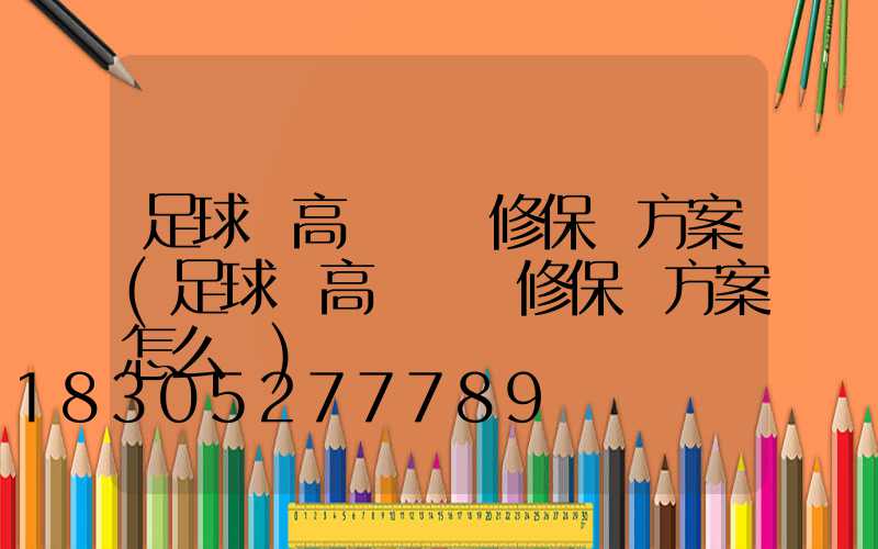 足球場高桿燈維修保養方案(足球場高桿燈維修保養方案怎么寫)