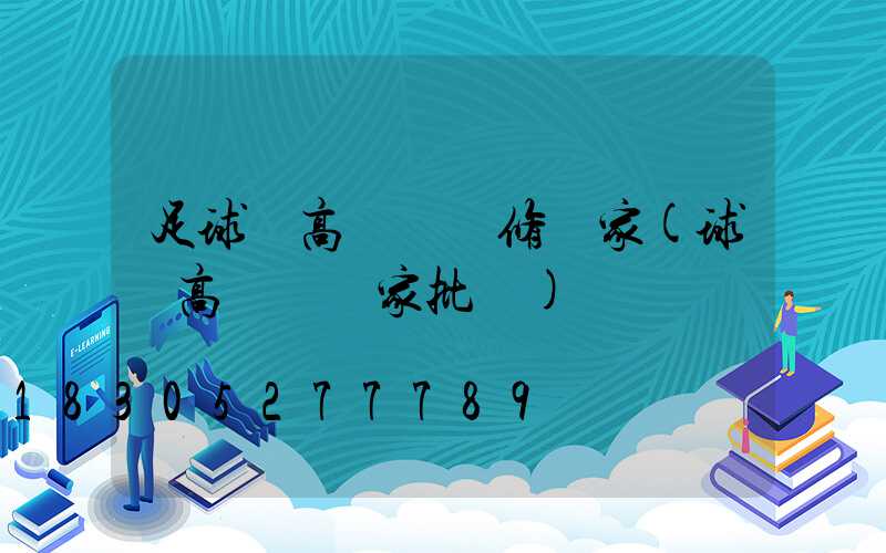 足球場高桿燈維修廠家(球場高桿燈廠家批發)