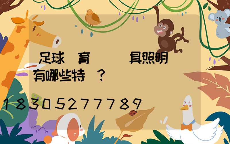 足球體育場館燈具照明設計有哪些特點？