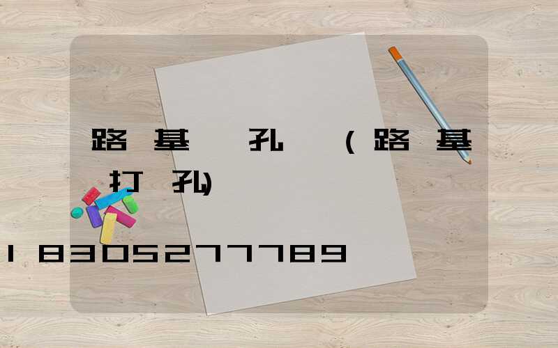 路燈基礎開孔設備(路燈基礎打樁孔)