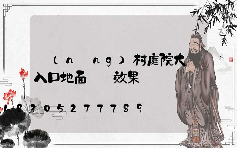 農(nóng)村庭院大門入口地面設計效果圖