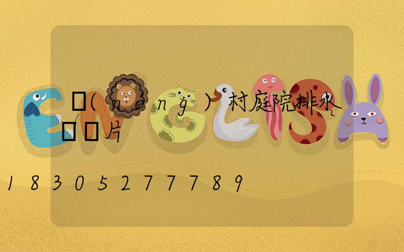 農(nóng)村庭院排水溝圖片