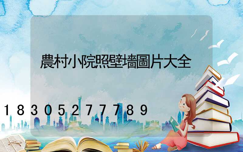 農村小院照壁墻圖片大全