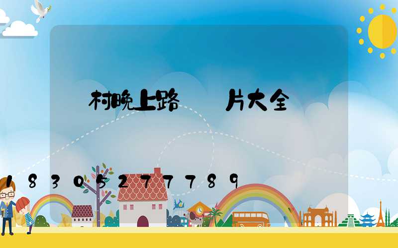 農村晚上路燈圖片大全