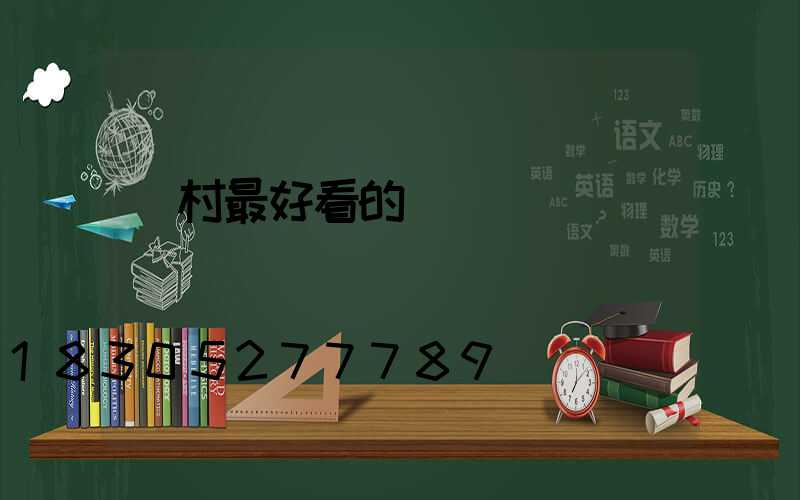 農村最好看的圍墻