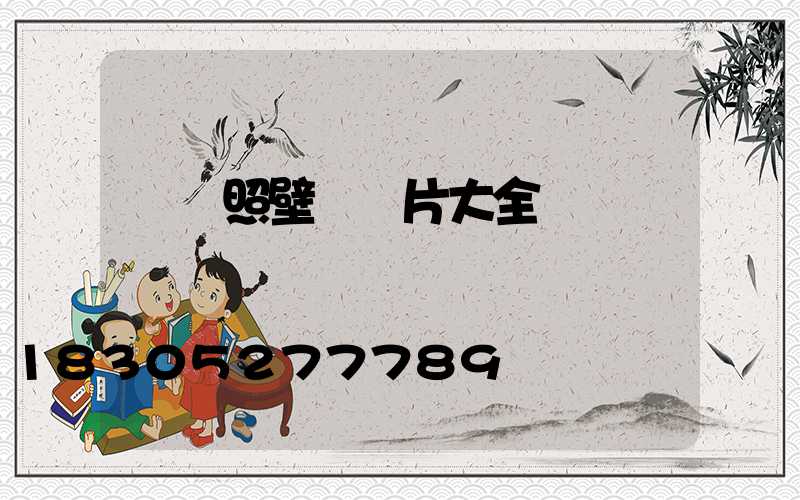 進門照壁墻圖片大全