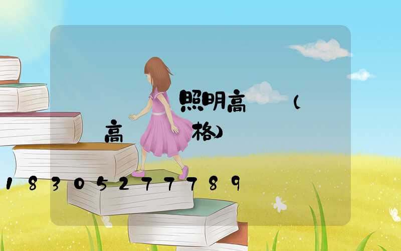 運動場專業照明高桿燈(運動場高桿燈價格)