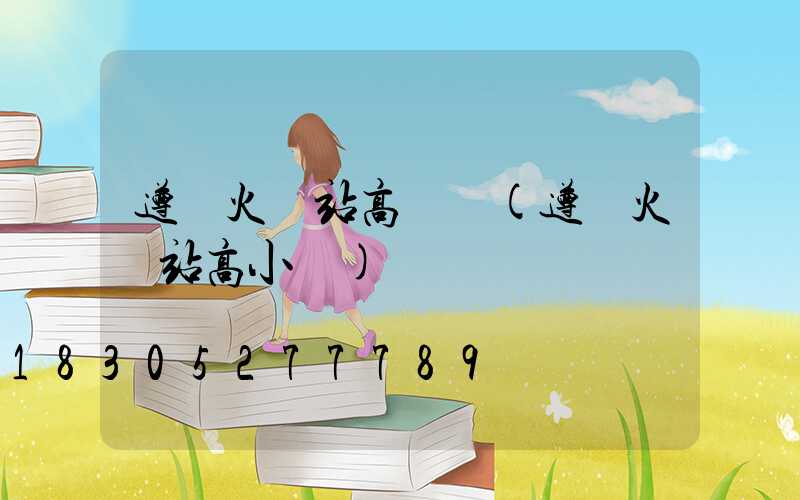 遵義火車站高桿燈(遵義火車站高小華)