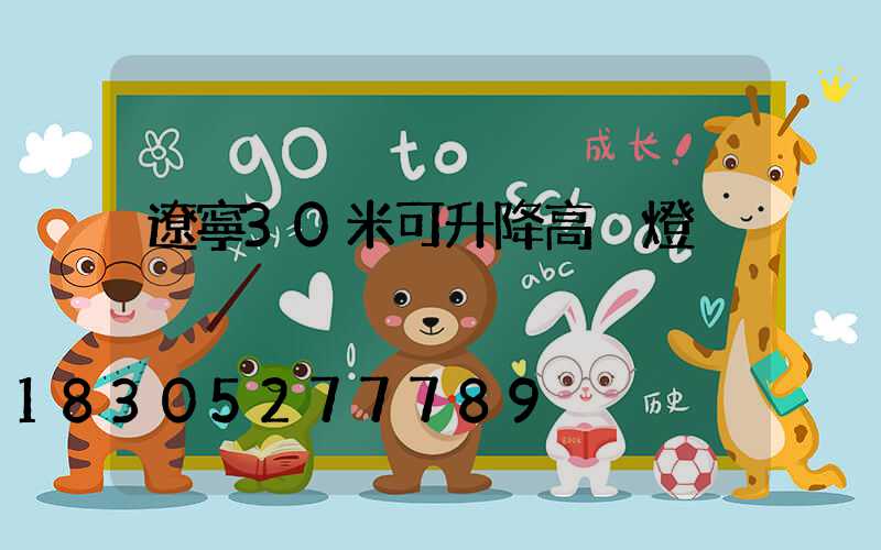 遼寧30米可升降高桿燈