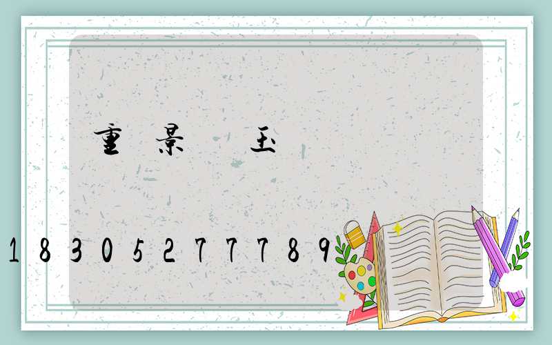 重慶景觀燈玉蘭燈