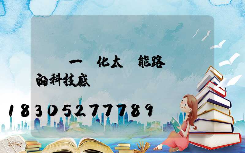 鋰電一體化太陽能路燈滿滿的科技感