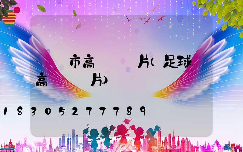 鐵嶺市高桿燈圖片(足球場高桿燈圖片)