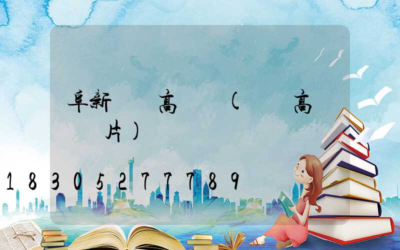 阜新雙頭高桿燈(雙頭高桿燈圖片)