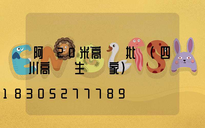 阿壩20米高桿燈批發(四川高桿燈生產廠家)