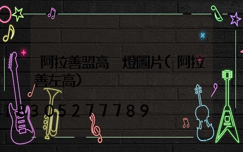 阿拉善盟高桿燈圖片(阿拉善左高)