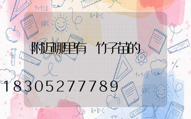 附近哪里有賣竹子苗的