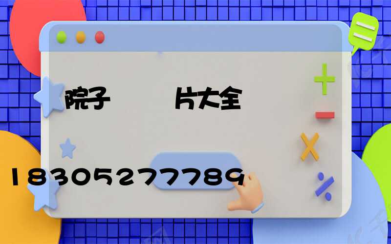 院子圍墻圖片大全