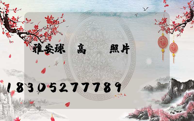 雅安球場高桿燈照片