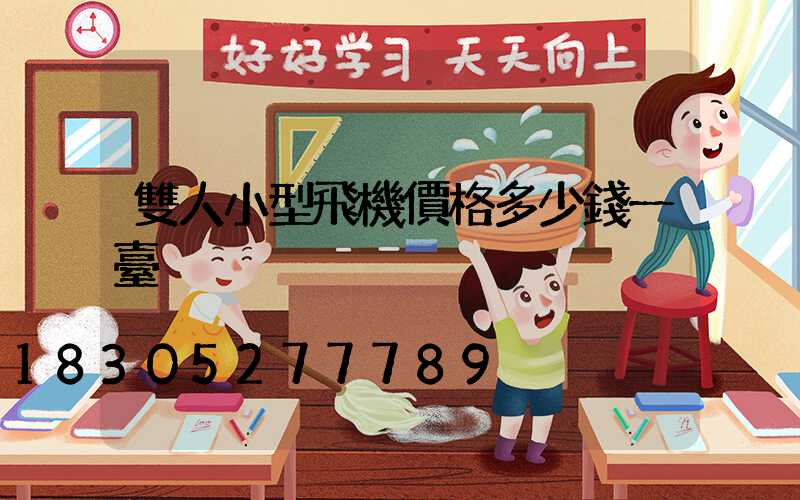 雙人小型飛機價格多少錢一臺