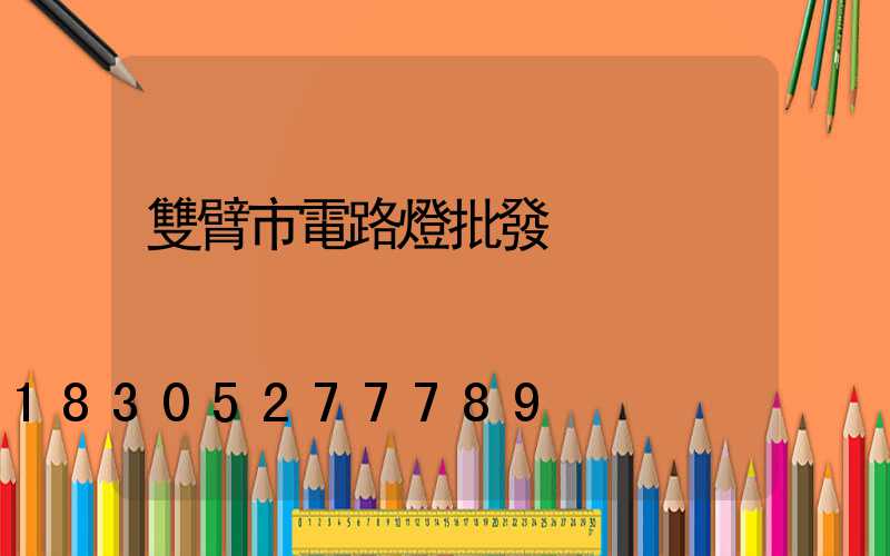雙臂市電路燈批發