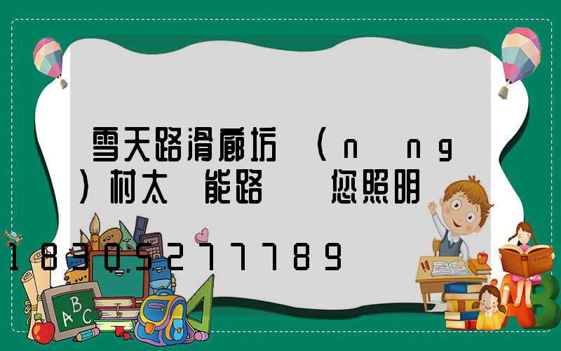 雪天路滑廊坊農(nóng)村太陽能路燈為您照明