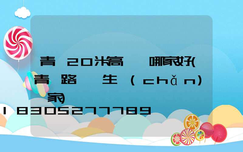 青島20米高桿燈哪家好(青島路燈桿生產(chǎn)廠家)