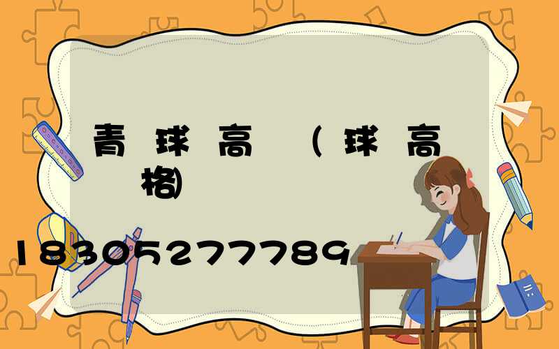 青島球場高桿燈(球場高桿燈規格)