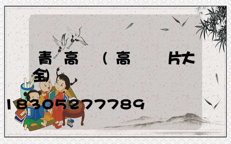 青島高桿燈(高桿燈圖片大全)