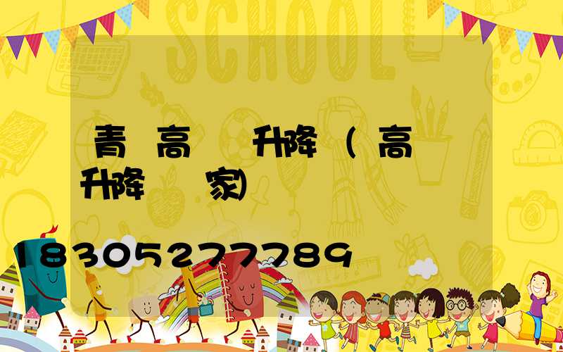 青島高桿燈升降機(高桿燈升降機廠家)