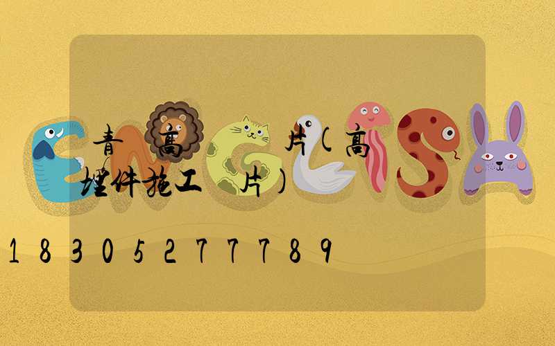 青島高桿燈圖片(高桿燈預埋件施工圖片)