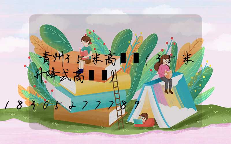 青州35米高桿燈(35米升降式高桿燈)