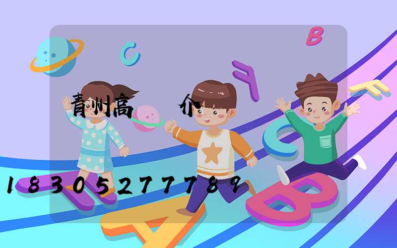 青州高桿燈介紹