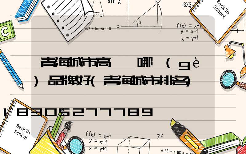 青海城市高桿燈哪個(gè)品牌好(青海城市排名)