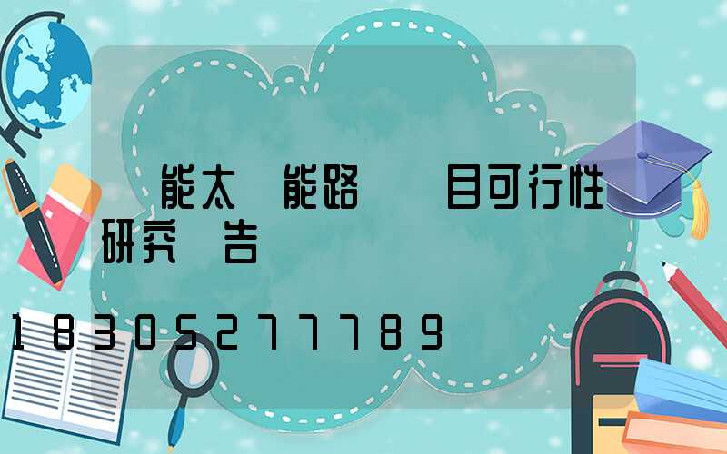 風能太陽能路燈項目可行性研究報告
