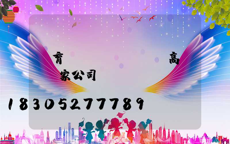 體育場(chǎng)高桿燈廠家公司