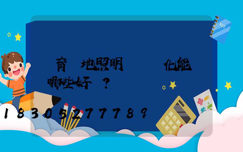 體育場地照明設備優化能帶來哪些好處？