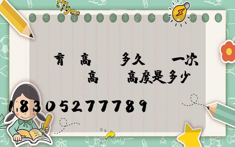 體育場高桿燈多久檢測一次(運動場高桿燈高度是多少)