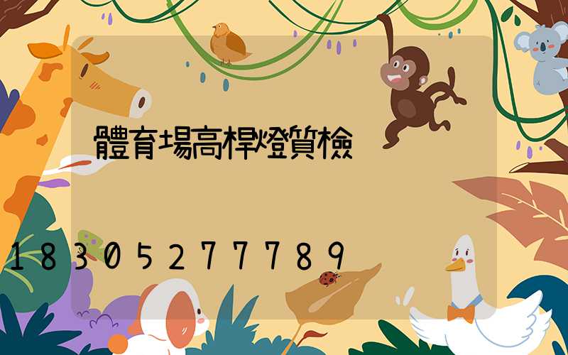 體育場高桿燈質檢