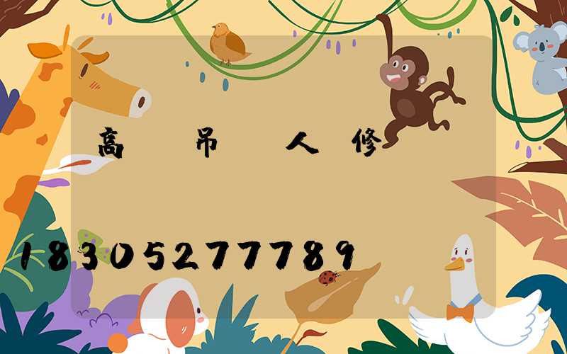 高桿燈吊車載人維修