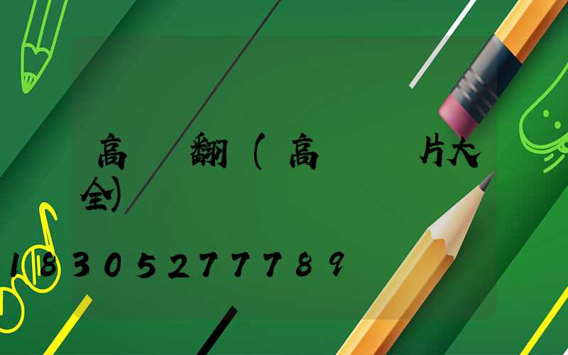 高桿燈翻譯(高桿燈圖片大全)