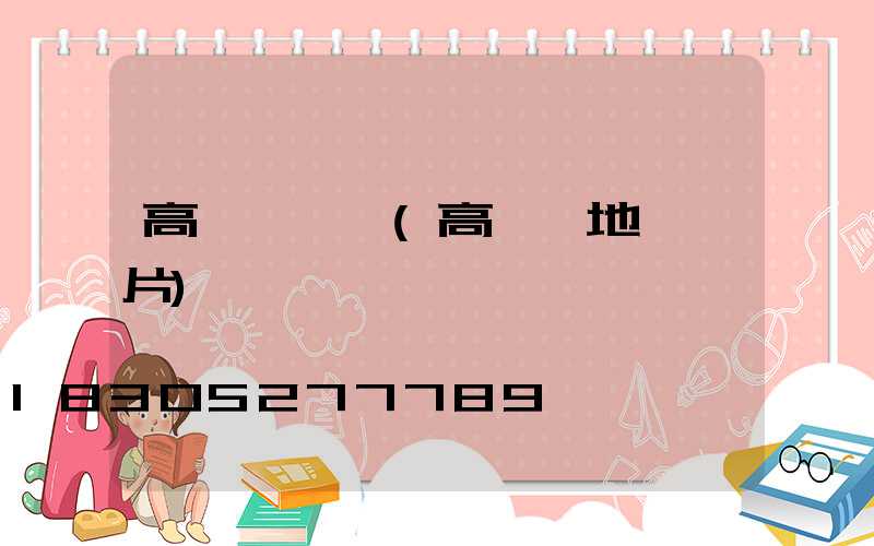 高桿燈鳥窩(高桿燈地籠圖片)