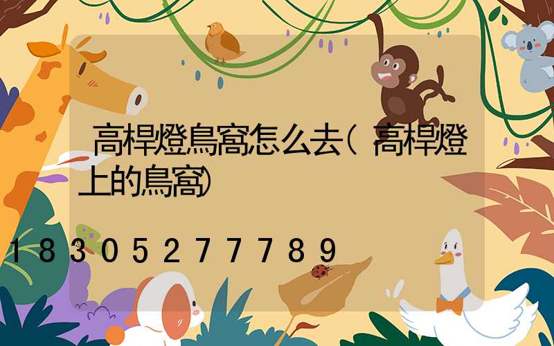 高桿燈鳥窩怎么去(高桿燈上的鳥窩)