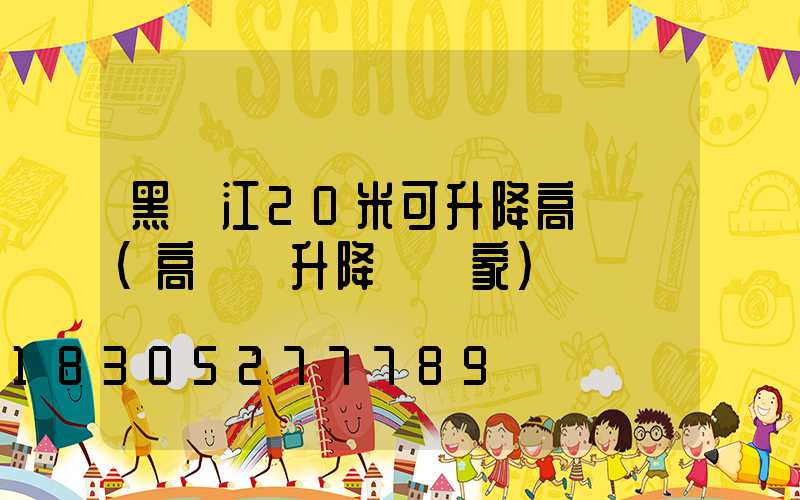 黑龍江20米可升降高桿燈(高桿燈升降機廠家)