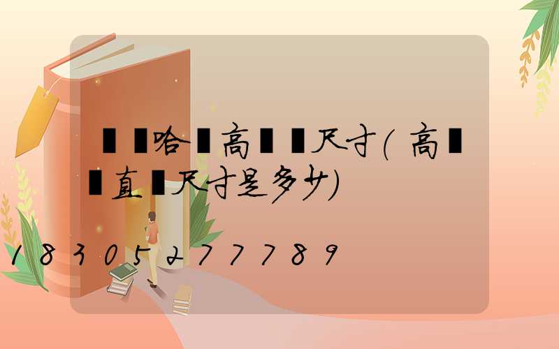 齊齊哈爾高桿燈尺寸(高桿燈直徑尺寸是多少)